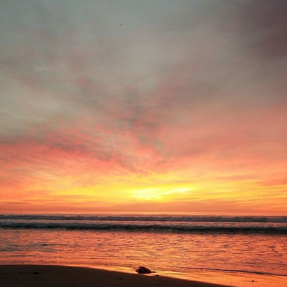 Meet your Posher, Acastaneda - Picture 1 of 1